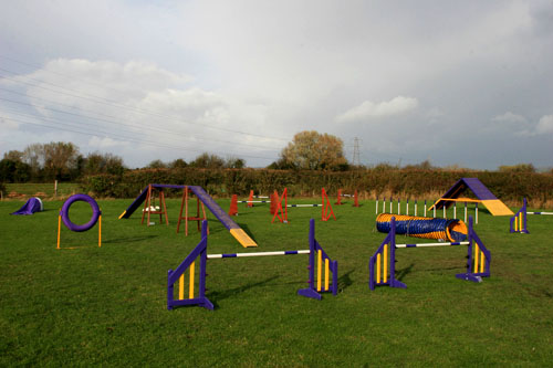 A-SIT, agility, field set up - all weather surface